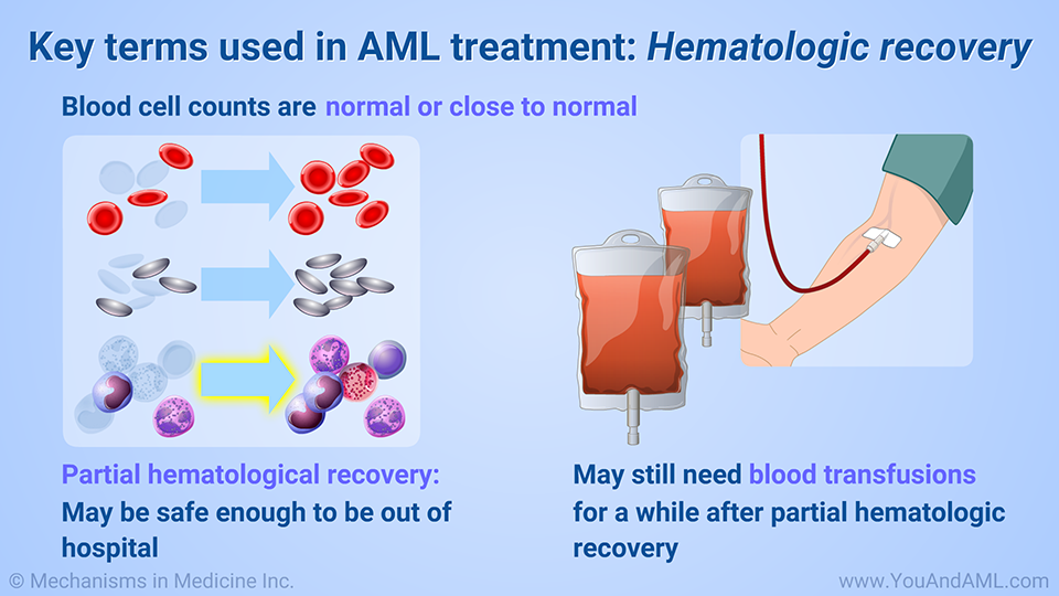 Key terms used in AML treatment: Hematologic recovery