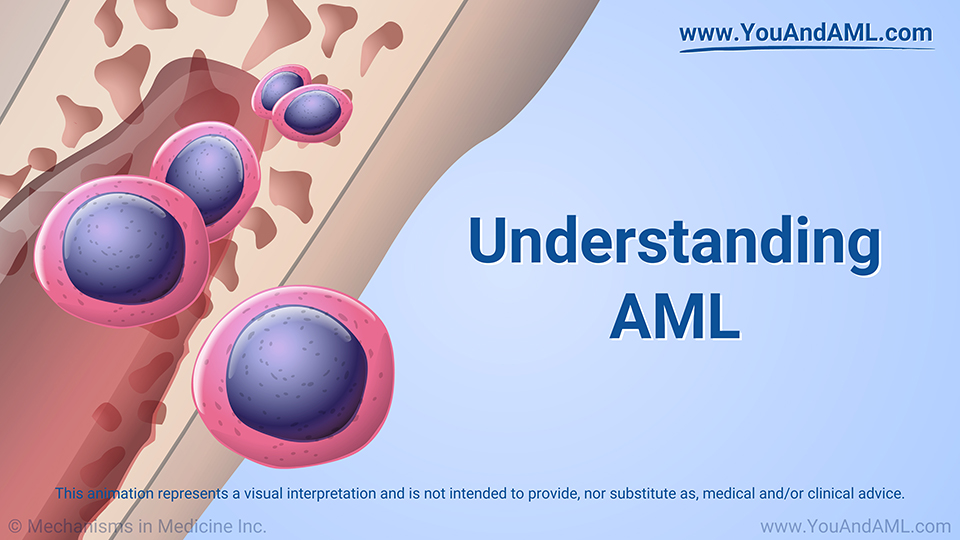 Animation - Understanding AML