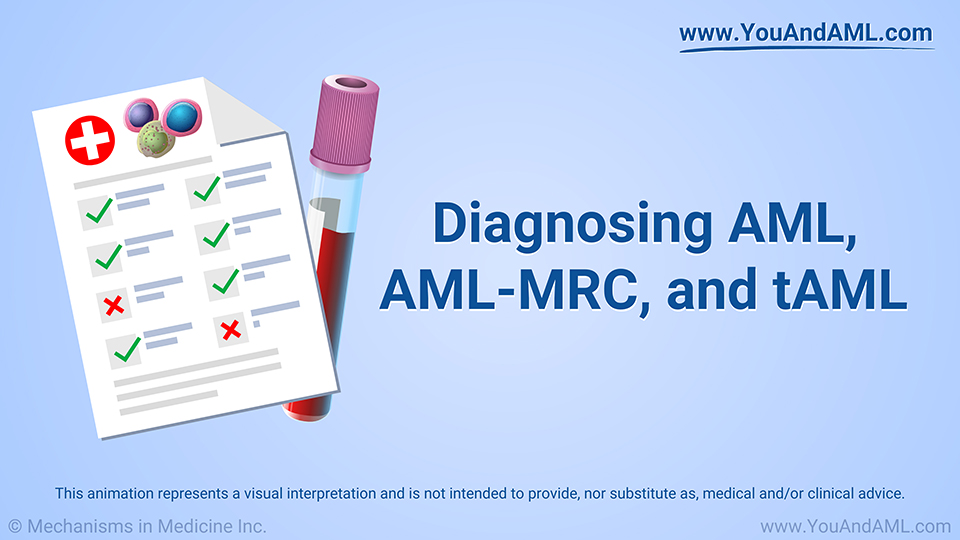 Animation - Diagnosing AML, AML-MRC, and tAML