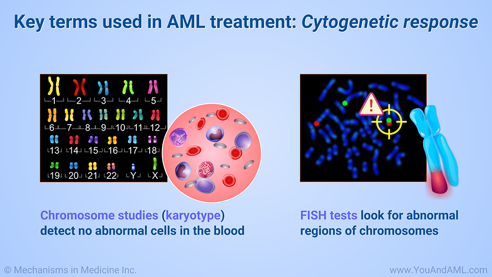 Key terms used in AML treatment: Cytogenetic response