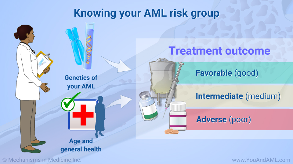 Knowing your AML risk group