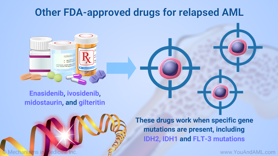 Other FDA-approved drugs for relapsed AML