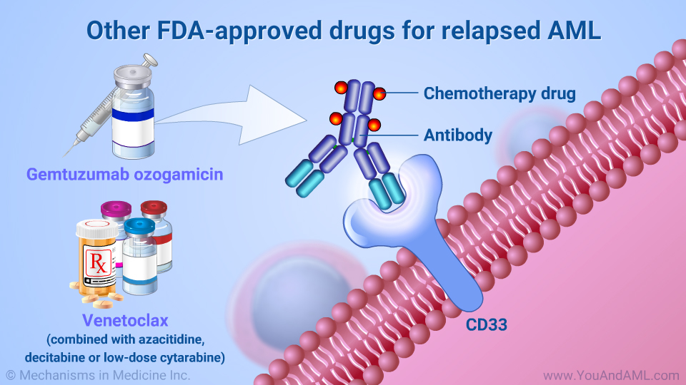 Other FDA-approved drugs for relapsed AML