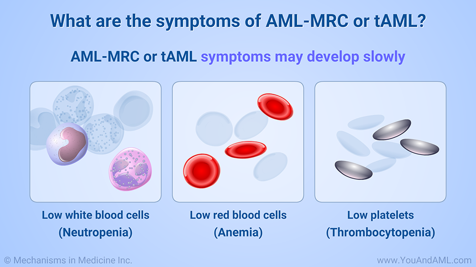 What are the symptoms of AML-MRC or tAML?
