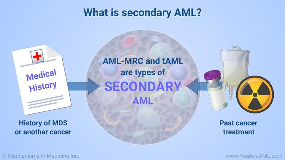 What is secondary AML?