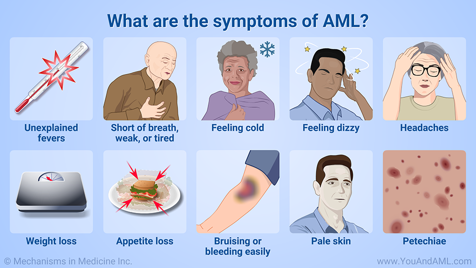 What are the symptoms of AML?