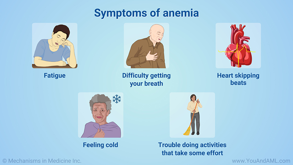 Symptoms of anemia