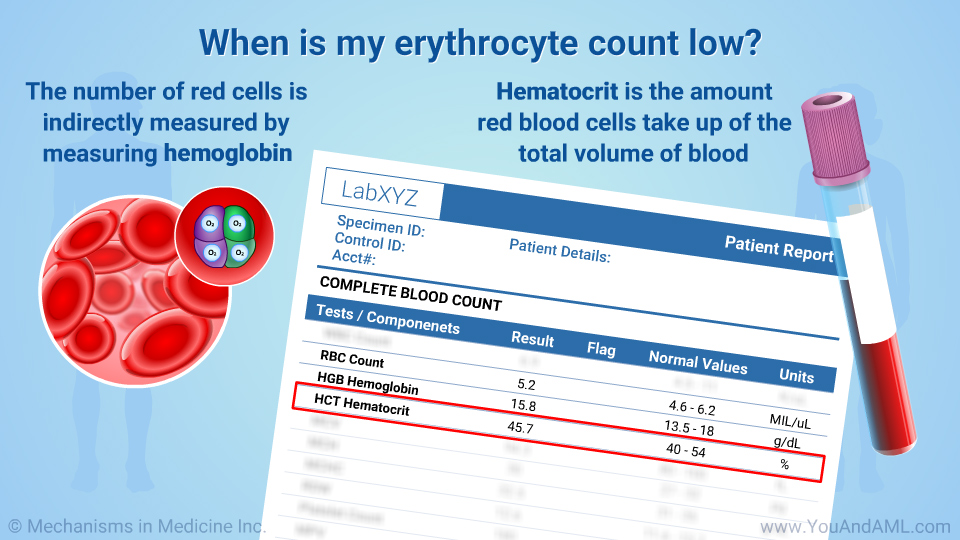 When is my erythrocyte count low?