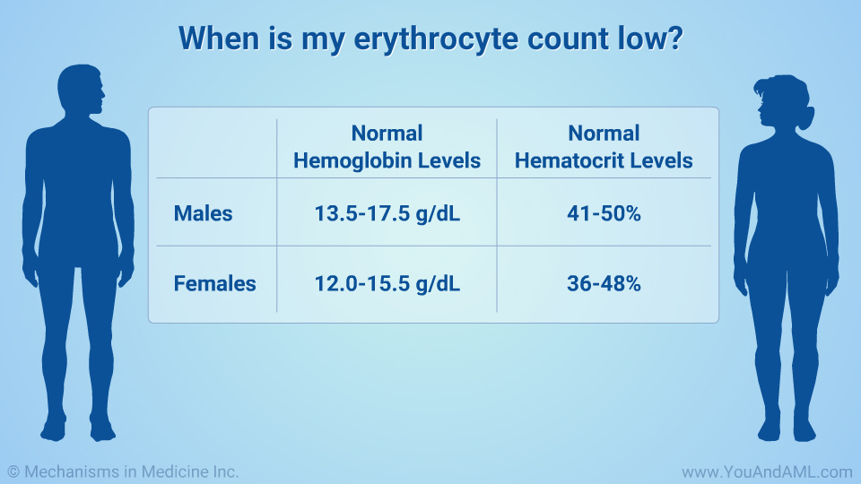 When is my erythrocyte count low?